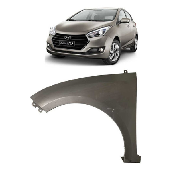 Paralama Hyundai Hb20 Esquerdo 2013 A 2019 Usado Original