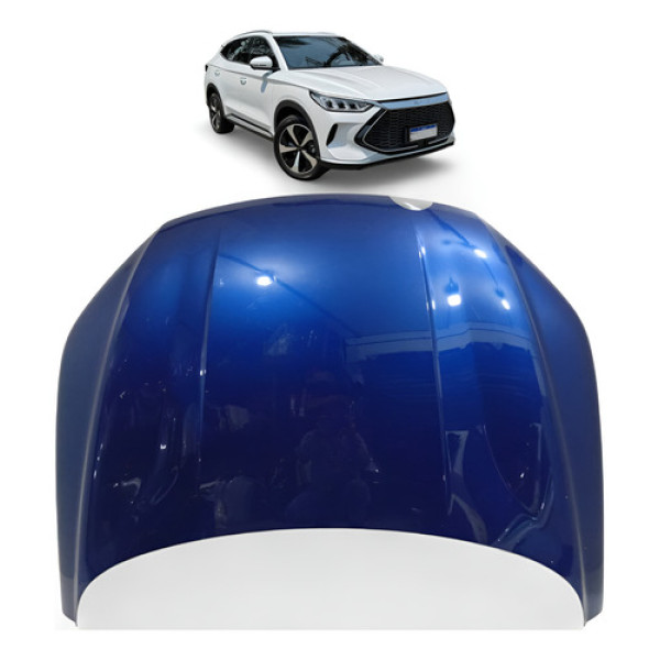 Capo Byd Song Plus 2023 2024 2025 Original