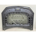 Capo Byd Song Pro 2024 2025 Original