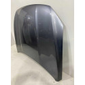 Capo Byd Song Pro 2024 2025 Original
