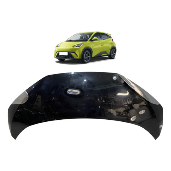 Capo Byd Mini Dolphin 2024 2025 Original