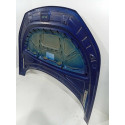 Capo Byd Song Plus 2023 2024 2025 Original